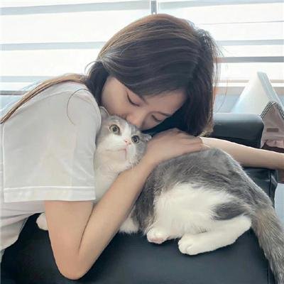 河长 在线观看